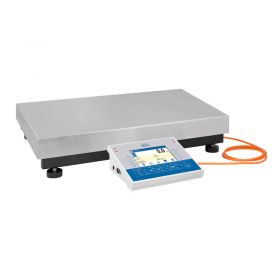 Radwag PM 60.1.C32 Precision Balance