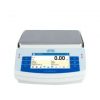 Radwag PS 10100.X2.M Precision Balance 2