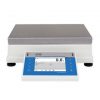 PM 50.4Y Precision Balance 2