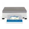Radwag PM 35.C32 Precision Balance 2