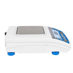 Radwag PS 1000.R2 Precision Balance 2