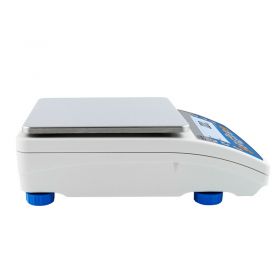 Radwag PS 0.6.R2 Precision Balance 2