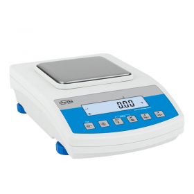 Radwag WLC 0.6/A1/C2 Precision Balance