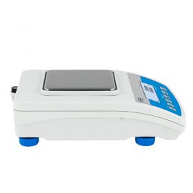 Radwag WLC 0.6/A1/C2 Precision Balance 2