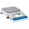 C32.15.D2 Multifunctional Scale